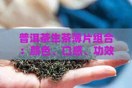 普洱茶生茶薄片组合：颜色、口感、功效等全方位解析与了解