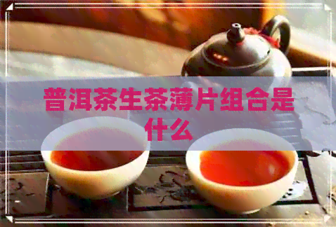 普洱茶生茶薄片组合是什么