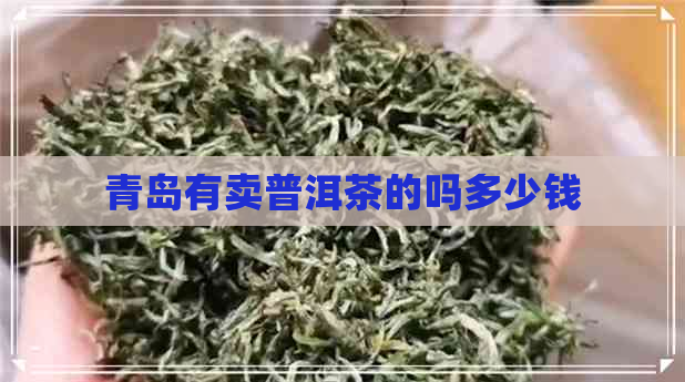 青岛有卖普洱茶的吗多少钱