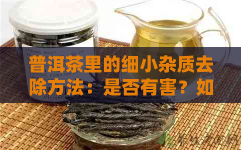 普洱茶里的细小杂质去除方法：是否有害？如何判断？