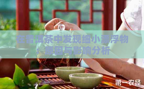 在普洱茶中发现细小漂浮物：原因与影响分析