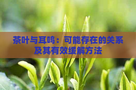 茶叶与耳鸣：可能存在的关系及其有效缓解方法