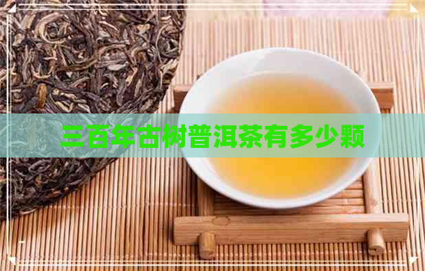 三百年古树普洱茶有多少颗