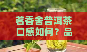 茗香舍普洱茶口感如何？品质评价及选购指南，让你喝出真正的好茶！