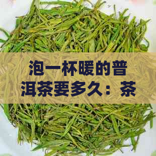 泡一杯暖的普洱茶要多久：茶叶冲泡时间与保存方法全解析