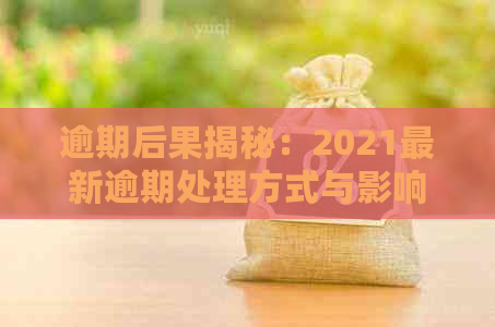 逾期后果揭秘：2021最新逾期处理方式与影响分析