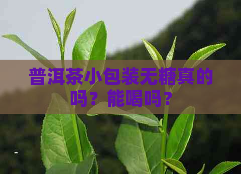 普洱茶小包装无糖真的吗？能喝吗？