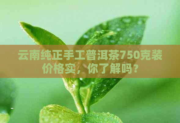 云南纯正手工普洱茶750克装价格实，你了解吗？