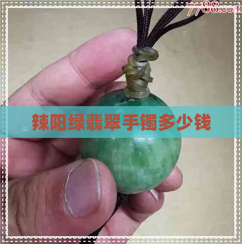 辣阳绿翡翠手镯多少钱