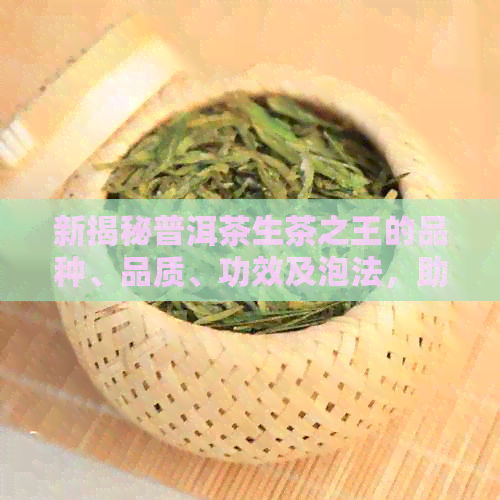 新揭秘普洱茶生茶之王的品种、品质、功效及泡法，助你成为茶叶专家