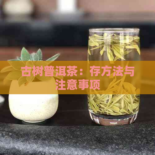 古树普洱茶：存方法与注意事项