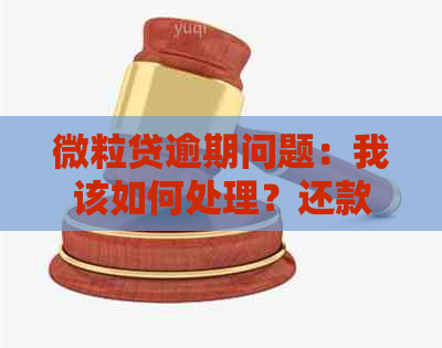 微粒贷逾期问题：我该如何处理？还款攻略与资讯分享