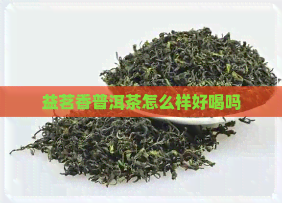 益茗香普洱茶怎么样好喝吗