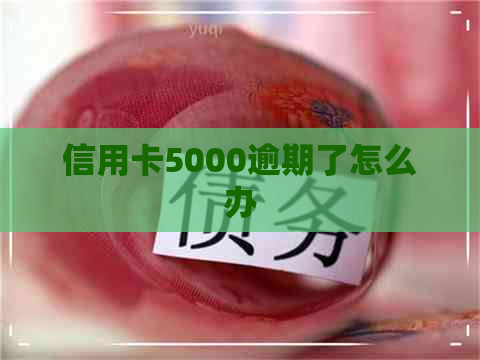 信用卡5000逾期了怎么办