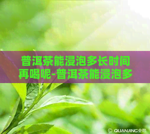 普洱茶能浸泡多长时间再喝呢-普洱茶能浸泡多长时间再喝呢女生