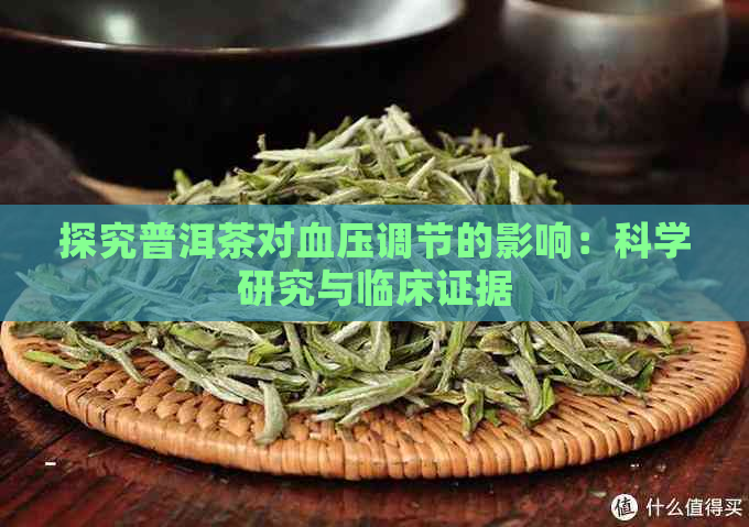 探究普洱茶对血压调节的影响：科学研究与临床证据