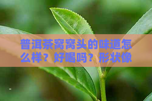 普洱茶窝窝头的味道怎么样？好喝吗？形状像窝窝头的普洱茶是什么味道？