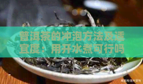 普洱茶的冲泡方法及适宜度：用开水煮可行吗？