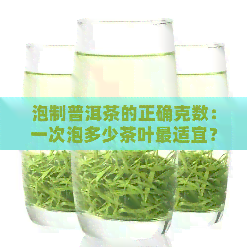 泡制普洱茶的正确克数：一次泡多少茶叶最适宜？探讨普洱茶冲泡的黄金比例