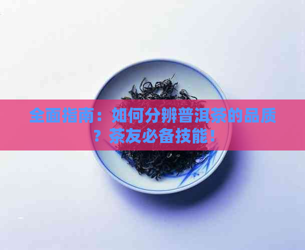 全面指南：如何分辨普洱茶的品质？茶友必备技能！