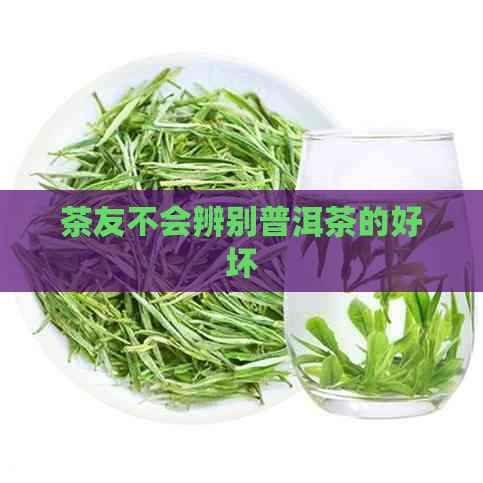 茶友不会辨别普洱茶的好坏