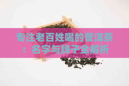 专注老百姓喝的普洱茶：名字与牌子全解析