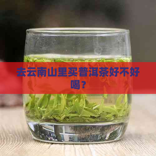 去云南山里买普洱茶好不好喝？