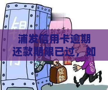 浦发信用卡逾期还款期限已过，如何进行全面处理和解决？