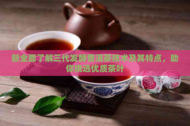 新全面了解三代发酵普洱茶技术及其特点，助你挑选优质茶叶