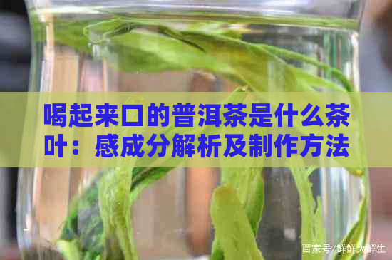 喝起来口的普洱茶是什么茶叶：感成分解析及制作方法