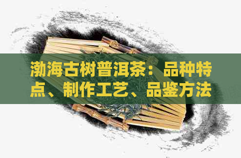 渤海古树普洱茶：品种特点、制作工艺、品鉴方法与收藏价值全面解析