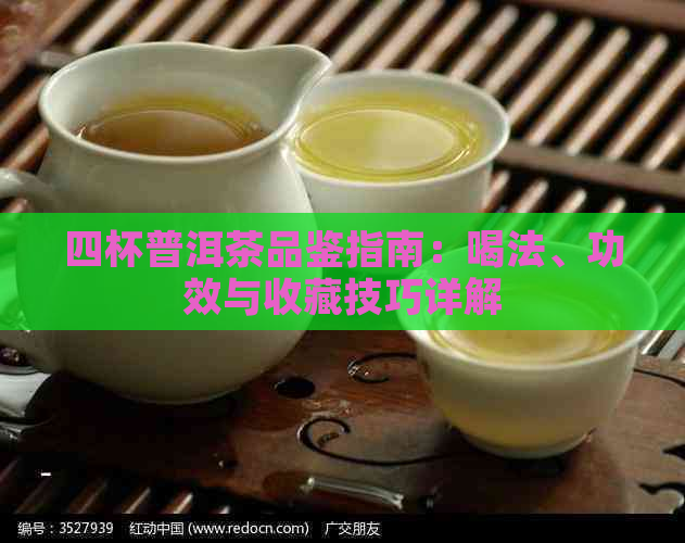 四杯普洱茶品鉴指南：喝法、功效与收藏技巧详解