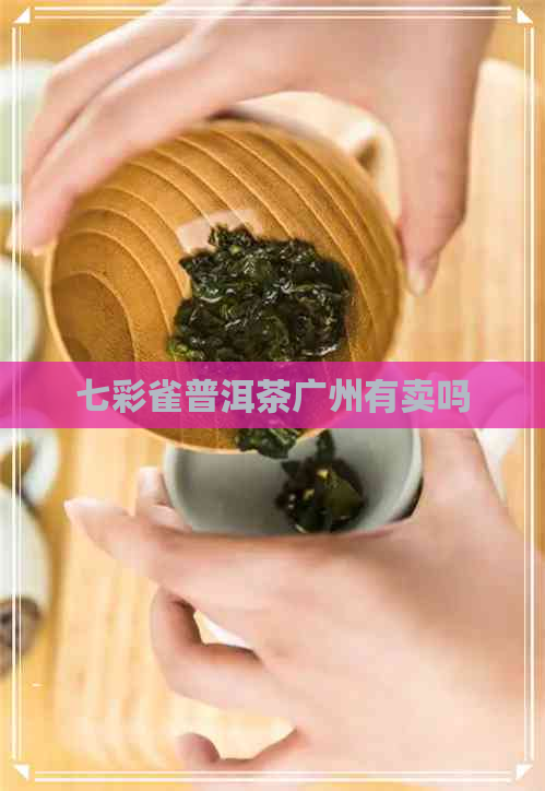 七彩雀普洱茶广州有卖吗