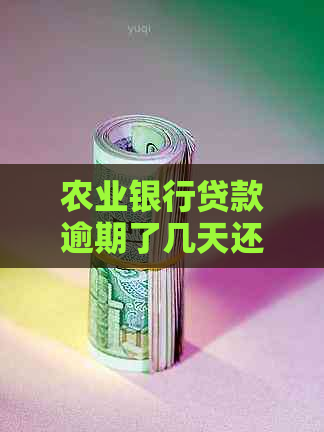 农业银行贷款逾期了几天还款会不会有影响-农业银行贷款逾期几天还款以后还可以贷出来吗?