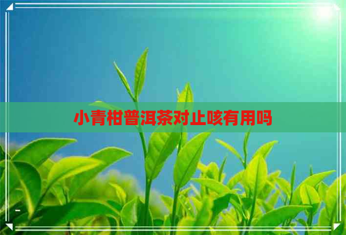 小青柑普洱茶对止咳有用吗