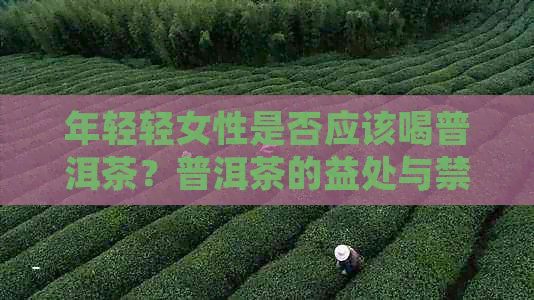 年轻轻女性是否应该喝普洱茶？普洱茶的益处与禁忌解析