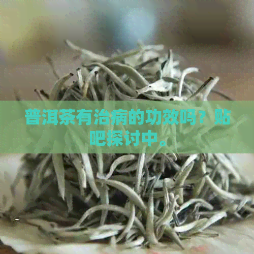 普洱茶有治病的功效吗？贴吧探讨中。