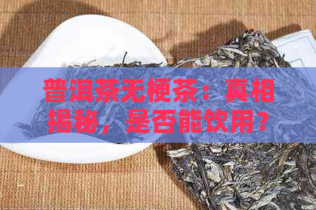 普洱茶无梗茶：真相揭秘，是否能饮用？