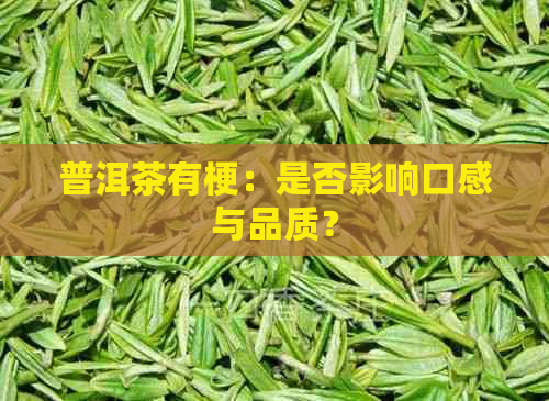 普洱茶有梗：是否影响口感与品质？