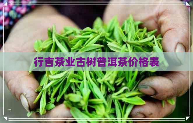 行吉茶业古树普洱茶价格表