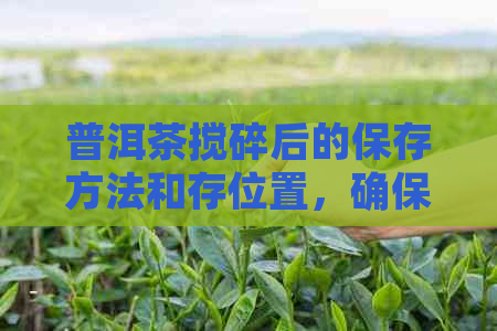 普洱茶搅碎后的保存方法和存位置，确保茶叶保持品质和口感