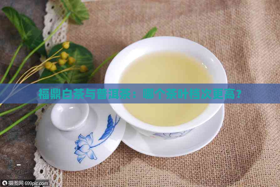 福鼎白茶与普洱茶：哪个茶叶档次更高？