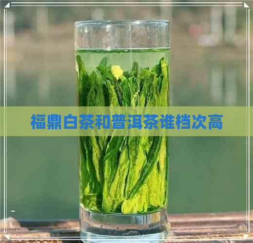 福鼎白茶和普洱茶谁档次高