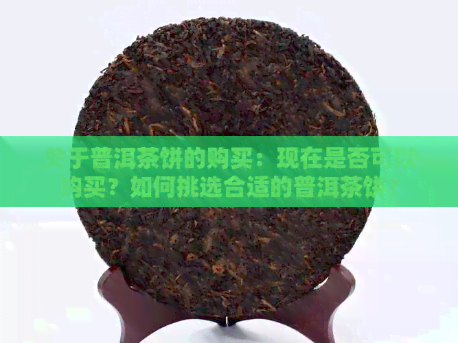 关于普洱茶饼的购买：现在是否可以购买？如何挑选合适的普洱茶饼？