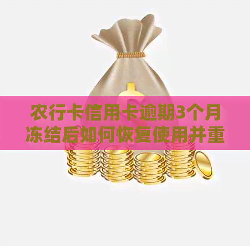 农行卡信用卡逾期3个月冻结后如何恢复使用并重新申请开通的完整指南