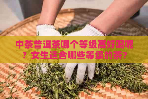 中茶普洱茶哪个等级高好喝呢？女生适合哪些等级的茶？