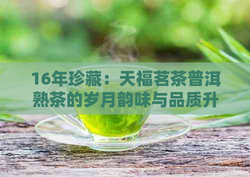 16年珍藏：天福茗茶普洱熟茶的岁月韵味与品质升华