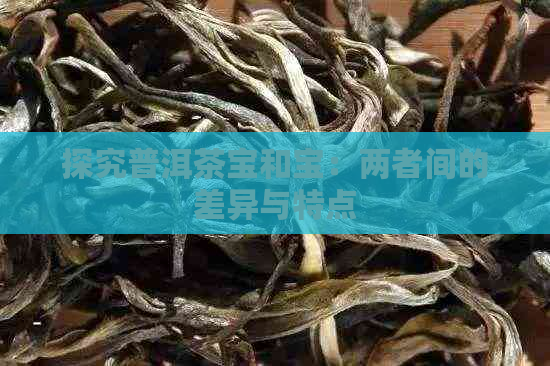 探究普洱茶宝和宝：两者间的差异与特点