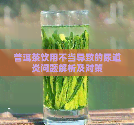 普洱茶饮用不当导致的尿道炎问题解析及对策