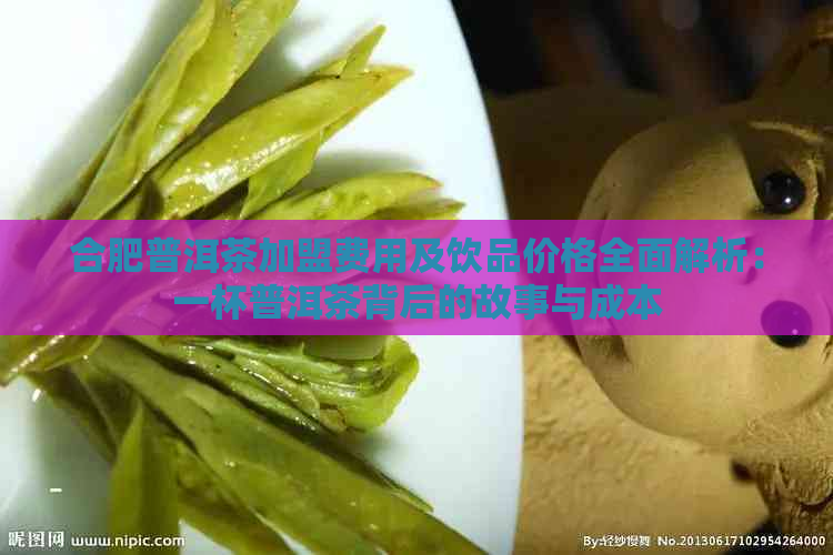 合肥普洱茶加盟费用及饮品价格全面解析：一杯普洱茶背后的故事与成本